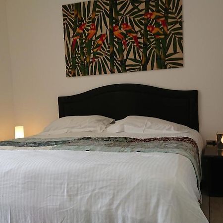 Surf Lookout - King Size En-Suite With Sea Views New Quay Exteriör bild