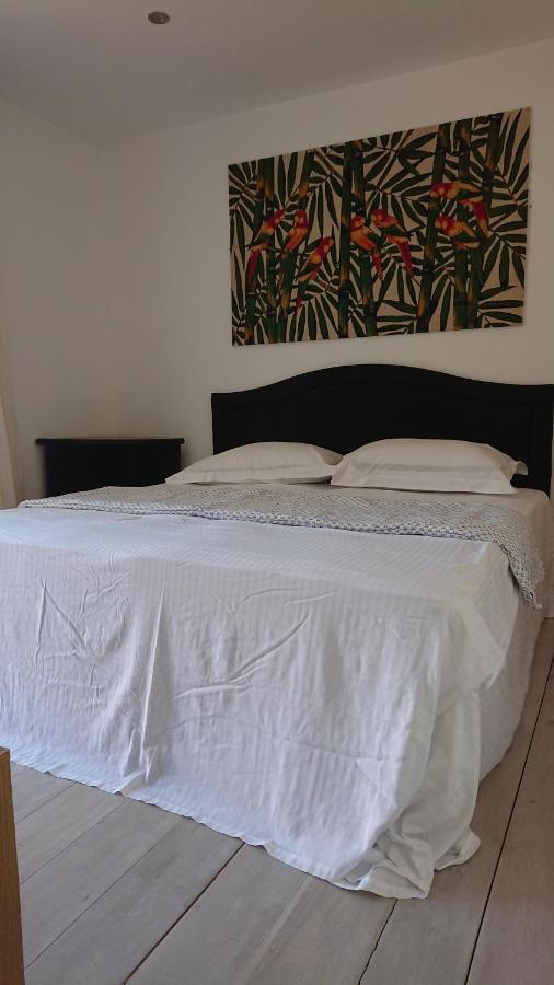 Surf Lookout - King Size En-Suite With Sea Views New Quay Exteriör bild